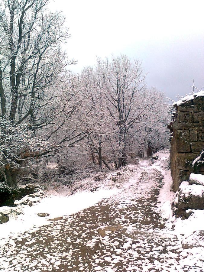 Los Castaños Solana de Avila Exterior foto